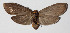 ( - 14-SRNP-5029)  @14 [ ] CreativeCommons  Attribution Non-Commercial Share-Alike (2016) Unspecified Guanacaste Dry Forest Conservation Fund