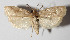  ( - 14-SRNP-548)  @14 [ ] CreativeCommons  Attribution Non-Commercial Share-Alike (2016) Unspecified Guanacaste Dry Forest Conservation Fund