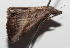  ( - 14-SRNP-55096)  @11 [ ] CreativeCommons  Attribution Non-Commercial Share-Alike (2016) Unspecified Guanacaste Dry Forest Conservation Fund
