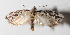 ( - 14-SRNP-552)  @14 [ ] CreativeCommons  Attribution Non-Commercial Share-Alike (2016) Unspecified Guanacaste Dry Forest Conservation Fund