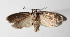  ( - 14-SRNP-552)  @14 [ ] CreativeCommons  Attribution Non-Commercial Share-Alike (2016) Unspecified Guanacaste Dry Forest Conservation Fund