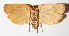  ( - 14-SRNP-55440)  @14 [ ] CreativeCommons  Attribution Non-Commercial Share-Alike (2016) Unspecified Guanacaste Dry Forest Conservation Fund