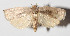  ( - 14-SRNP-56524)  @14 [ ] CreativeCommons  Attribution Non-Commercial Share-Alike (2016) Unspecified Guanacaste Dry Forest Conservation Fund