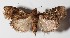  ( - 14-SRNP-56873)  @14 [ ] CreativeCommons  Attribution Non-Commercial Share-Alike (2016) Unspecified Guanacaste Dry Forest Conservation Fund