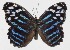  ( - 14-SRNP-57258)  @14 [ ] CreativeCommons  Attribution Non-Commercial Share-Alike (2016) Unspecified Guanacaste Dry Forest Conservation Fund