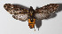  ( - 14-SRNP-57650)  @14 [ ] CreativeCommons  Attribution Non-Commercial Share-Alike (2016) Unspecified Guanacaste Dry Forest Conservation Fund