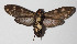  ( - 14-SRNP-57650)  @14 [ ] CreativeCommons  Attribution Non-Commercial Share-Alike (2016) Unspecified Guanacaste Dry Forest Conservation Fund