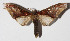  ( - 14-SRNP-57878)  @13 [ ] CreativeCommons  Attribution Non-Commercial Share-Alike (2016) Unspecified Guanacaste Dry Forest Conservation Fund