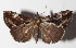  ( - 14-SRNP-58017)  @11 [ ] CreativeCommons  Attribution Non-Commercial Share-Alike (2016) Unspecified Guanacaste Dry Forest Conservation Fund