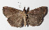  ( - 14-SRNP-58017)  @11 [ ] CreativeCommons  Attribution Non-Commercial Share-Alike (2016) Unspecified Guanacaste Dry Forest Conservation Fund