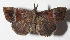  ( - 14-SRNP-58092)  @14 [ ] CreativeCommons  Attribution Non-Commercial Share-Alike (2016) Unspecified Guanacaste Dry Forest Conservation Fund
