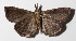  ( - 14-SRNP-58092)  @13 [ ] CreativeCommons  Attribution Non-Commercial Share-Alike (2016) Unspecified Guanacaste Dry Forest Conservation Fund