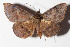  ( - 14-SRNP-58112)  @14 [ ] CreativeCommons  Attribution Non-Commercial Share-Alike (2016) Unspecified Guanacaste Dry Forest Conservation Fund