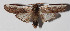  ( - 14-SRNP-58313)  @14 [ ] CreativeCommons  Attribution Non-Commercial Share-Alike (2016) Unspecified Guanacaste Dry Forest Conservation Fund