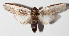  ( - 14-SRNP-58317)  @14 [ ] CreativeCommons  Attribution Non-Commercial Share-Alike (2016) Unspecified Guanacaste Dry Forest Conservation Fund