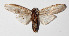  ( - 14-SRNP-58317)  @14 [ ] CreativeCommons  Attribution Non-Commercial Share-Alike (2016) Unspecified Guanacaste Dry Forest Conservation Fund