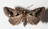  ( - 14-SRNP-58884)  @13 [ ] CreativeCommons  Attribution Non-Commercial Share-Alike (2016) Unspecified Guanacaste Dry Forest Conservation Fund