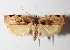  ( - 14-SRNP-65127)  @14 [ ] CreativeCommons  Attribution Non-Commercial Share-Alike (2016) Unspecified Guanacaste Dry Forest Conservation Fund
