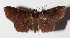  ( - 14-SRNP-65363)  @14 [ ] CreativeCommons  Attribution Non-Commercial Share-Alike (2016) Unspecified Guanacaste Dry Forest Conservation Fund