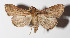  ( - 14-SRNP-67232)  @13 [ ] CreativeCommons  Attribution Non-Commercial Share-Alike (2016) Unspecified Guanacaste Dry Forest Conservation Fund