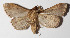  ( - 14-SRNP-67232)  @12 [ ] CreativeCommons  Attribution Non-Commercial Share-Alike (2016) Unspecified Guanacaste Dry Forest Conservation Fund