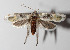  ( - 14-SRNP-70046)  @13 [ ] CreativeCommons  Attribution Non-Commercial Share-Alike (2016) Unspecified Guanacaste Dry Forest Conservation Fund