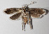  ( - 14-SRNP-70046)  @12 [ ] CreativeCommons  Attribution Non-Commercial Share-Alike (2016) Unspecified Guanacaste Dry Forest Conservation Fund