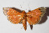  ( - 14-SRNP-70359)  @13 [ ] CreativeCommons  Attribution Non-Commercial Share-Alike (2016) Unspecified Guanacaste Dry Forest Conservation Fund