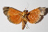  ( - 14-SRNP-70359)  @13 [ ] CreativeCommons  Attribution Non-Commercial Share-Alike (2016) Unspecified Guanacaste Dry Forest Conservation Fund