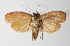  ( - 14-SRNP-70900)  @13 [ ] CreativeCommons  Attribution Non-Commercial Share-Alike (2016) Unspecified Guanacaste Dry Forest Conservation Fund