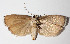  ( - 14-SRNP-70906)  @13 [ ] CreativeCommons  Attribution Non-Commercial Share-Alike (2016) Unspecified Guanacaste Dry Forest Conservation Fund