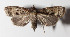  ( - 14-SRNP-71140)  @14 [ ] CreativeCommons  Attribution Non-Commercial Share-Alike (2016) Unspecified Guanacaste Dry Forest Conservation Fund