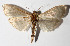  ( - 14-SRNP-71724)  @14 [ ] CreativeCommons  Attribution Non-Commercial Share-Alike (2016) Unspecified Guanacaste Dry Forest Conservation Fund