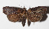  ( - 14-SRNP-71800)  @14 [ ] CreativeCommons  Attribution Non-Commercial Share-Alike (2016) Unspecified Guanacaste Dry Forest Conservation Fund