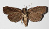  ( - 14-SRNP-71800)  @13 [ ] CreativeCommons  Attribution Non-Commercial Share-Alike (2016) Unspecified Guanacaste Dry Forest Conservation Fund