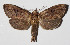  ( - 14-SRNP-71864)  @14 [ ] CreativeCommons  Attribution Non-Commercial Share-Alike (2016) Unspecified Guanacaste Dry Forest Conservation Fund