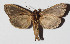  ( - 14-SRNP-71864)  @14 [ ] CreativeCommons  Attribution Non-Commercial Share-Alike (2016) Unspecified Guanacaste Dry Forest Conservation Fund