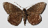  ( - 14-SRNP-71946)  @13 [ ] CreativeCommons  Attribution Non-Commercial Share-Alike (2016) Unspecified Guanacaste Dry Forest Conservation Fund
