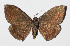  ( - 14-SRNP-71971)  @13 [ ] CreativeCommons  Attribution Non-Commercial Share-Alike (2016) Unspecified Guanacaste Dry Forest Conservation Fund