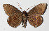  ( - 14-SRNP-72084)  @13 [ ] CreativeCommons  Attribution Non-Commercial Share-Alike (2016) Unspecified Guanacaste Dry Forest Conservation Fund