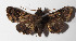  ( - 14-SRNP-72208)  @14 [ ] CreativeCommons  Attribution Non-Commercial Share-Alike (2016) Unspecified Guanacaste Dry Forest Conservation Fund