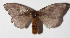  ( - 14-SRNP-72233)  @11 [ ] CreativeCommons  Attribution Non-Commercial Share-Alike (2016) Unspecified Guanacaste Dry Forest Conservation Fund