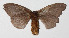  ( - 14-SRNP-72233)  @11 [ ] CreativeCommons  Attribution Non-Commercial Share-Alike (2016) Unspecified Guanacaste Dry Forest Conservation Fund