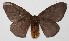  ( - 14-SRNP-72235)  @14 [ ] CreativeCommons  Attribution Non-Commercial Share-Alike (2016) Unspecified Guanacaste Dry Forest Conservation Fund