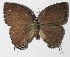  ( - 14-SRNP-72282)  @14 [ ] CreativeCommons  Attribution Non-Commercial Share-Alike (2016) Unspecified Guanacaste Dry Forest Conservation Fund