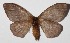  ( - 14-SRNP-72292)  @14 [ ] CreativeCommons  Attribution Non-Commercial Share-Alike (2016) Unspecified Guanacaste Dry Forest Conservation Fund