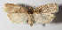  ( - 14-SRNP-740)  @14 [ ] CreativeCommons  Attribution Non-Commercial Share-Alike (2016) Unspecified Guanacaste Dry Forest Conservation Fund