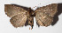  ( - 14-SRNP-76339)  @11 [ ] CreativeCommons  Attribution Non-Commercial Share-Alike (2016) Unspecified Guanacaste Dry Forest Conservation Fund