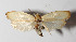 ( - 14-SRNP-76361)  @13 [ ] CreativeCommons  Attribution Non-Commercial Share-Alike (2016) Unspecified Guanacaste Dry Forest Conservation Fund