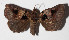  ( - 14-SRNP-76514)  @11 [ ] CreativeCommons  Attribution Non-Commercial Share-Alike (2016) Unspecified Guanacaste Dry Forest Conservation Fund